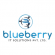 Profile picture of Blueberry IT Solutions