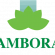 Profile picture of Ambora Star